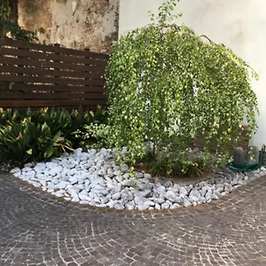 La Betulla Apartment Mantova